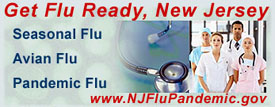 Pandemic Flu website Link