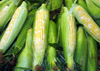 Photo of Jersey Fresh corn