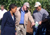 Photo of Wells, Kuperus and Norz navigating through the corn maze