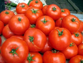 Photo of Jersey Tomatoes