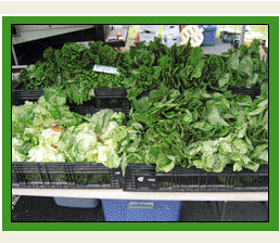photo of produce