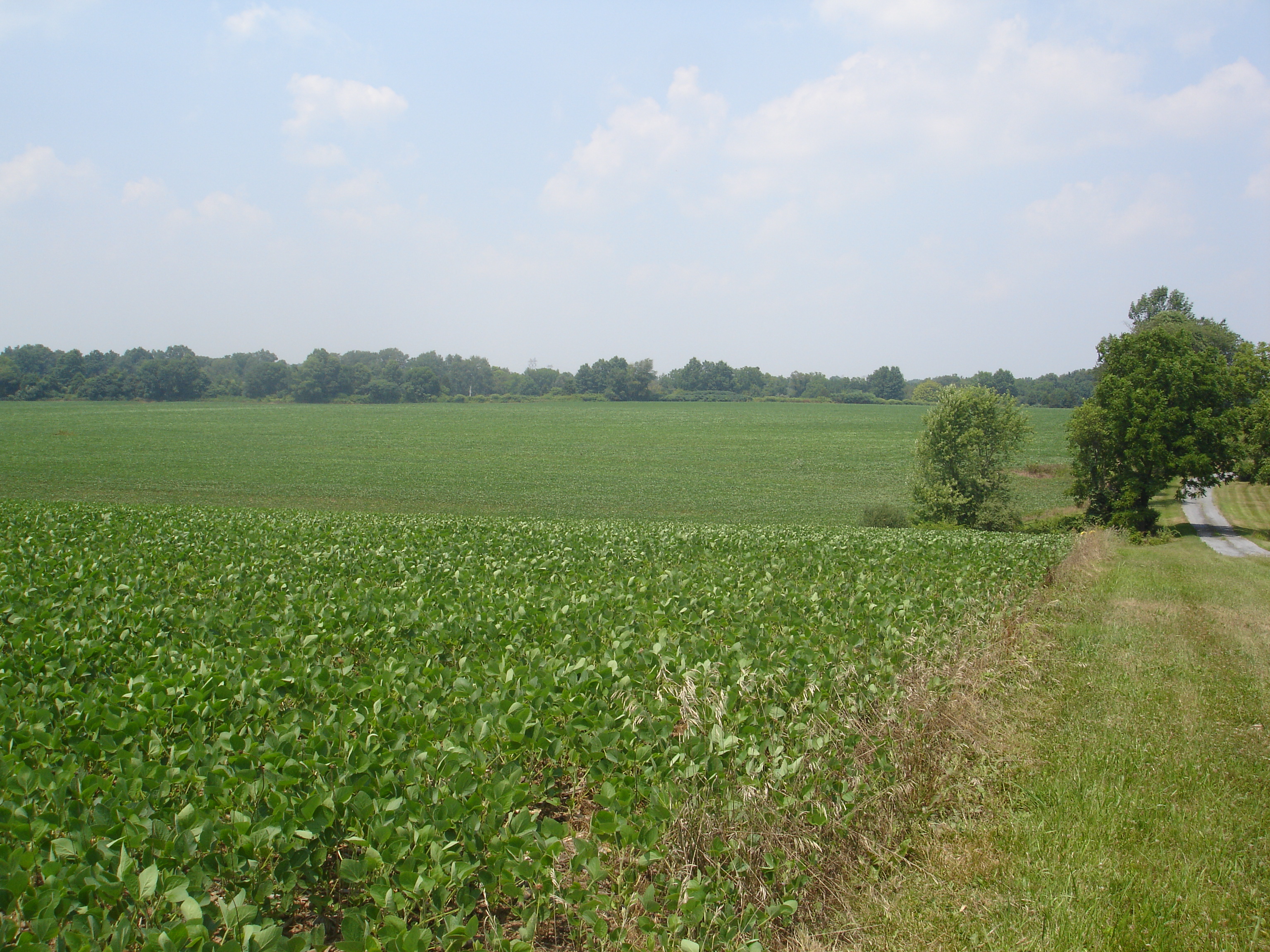 photo of Case Field