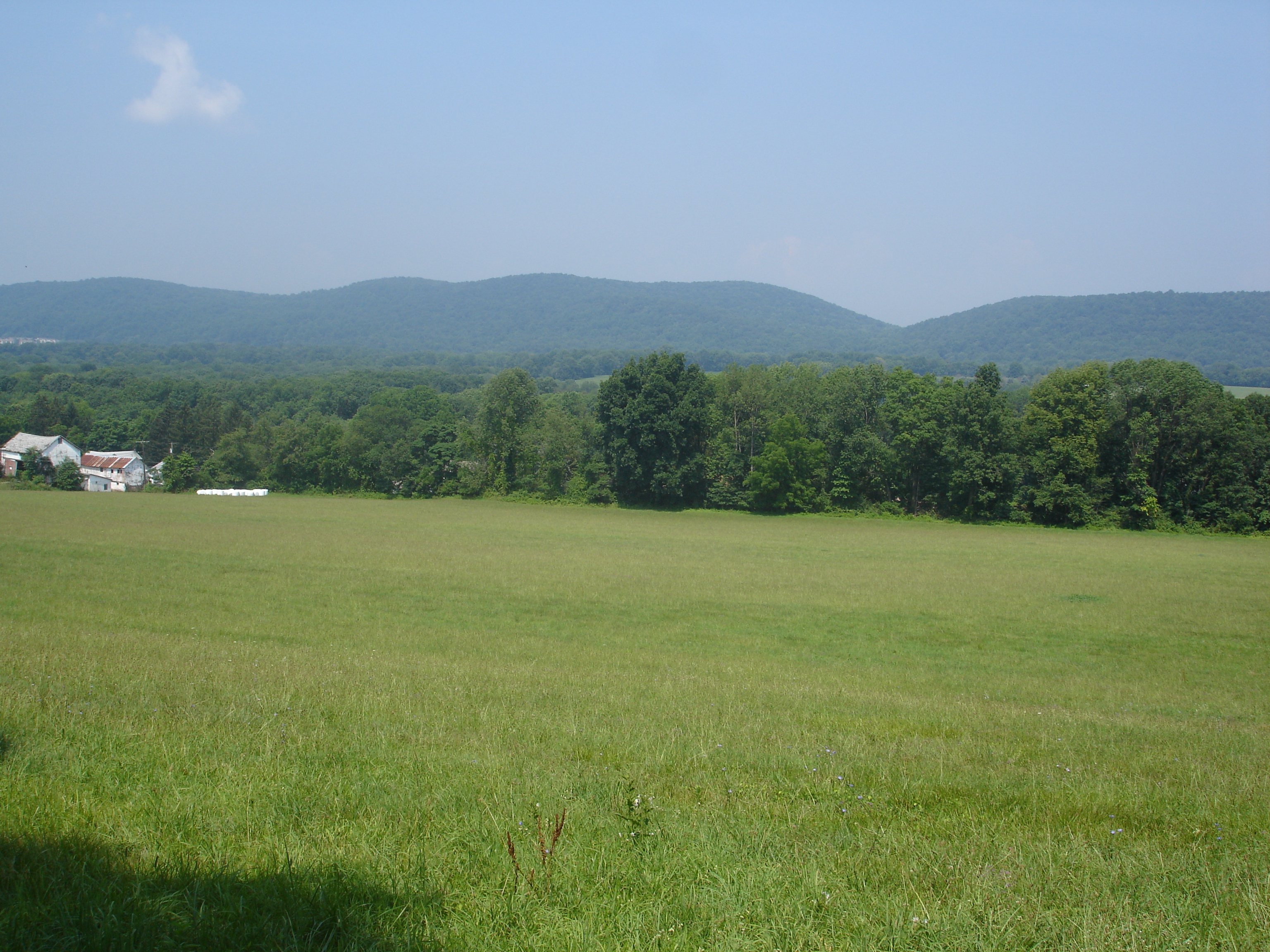 photo of Eagle Valley field