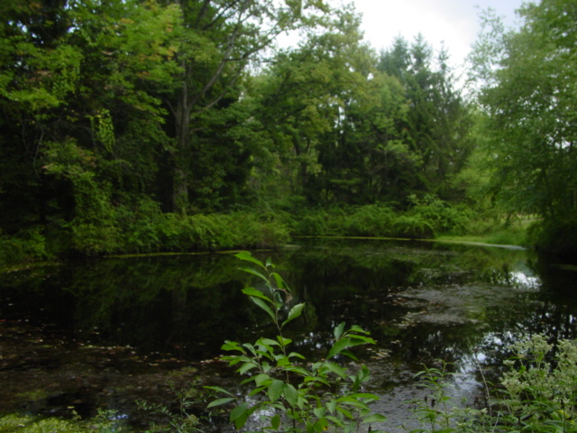 Eagle Valley Pond