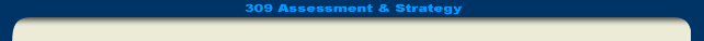 309 Assessment & Strategy