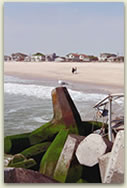 dep photo-jetty