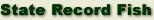 Record Fish Program