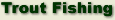 Trout fishing information