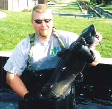 Ed Conley with a broodstock cat.