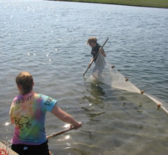 Seining in bay