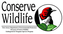 ENSP logo