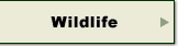 Wildlife