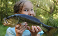 Largemouth bass