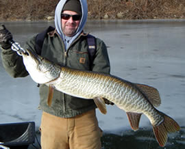 Angler with Tiger Muskie on Ice Angler with Tiger Muskie on Ice
