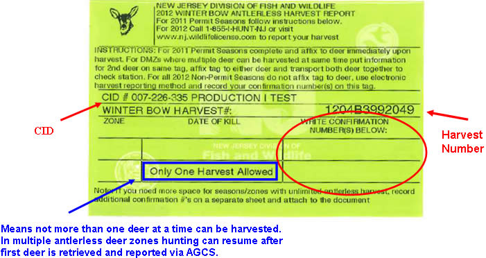 AGCS Antlerless Deer Stub