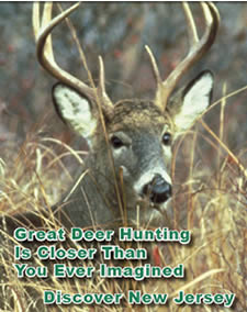 Deer brochure cover