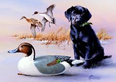 2003 NJ Waterfowl Stamp