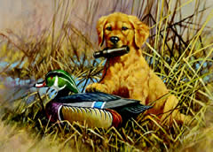 2006 NJ Waterfowl Stamp