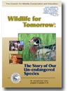 Wildlife for Tomorrow video