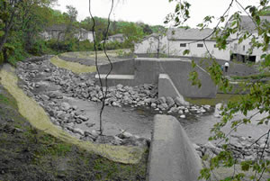 Pusel Mill Dam removal project