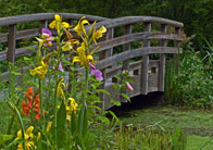 2nd – Summer Serenity / Leonard Buck Garden, Far Hills / Robert Pilkington