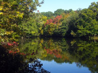 3rd – Autumn Begins in the Park / Brightwood Park, Westfield / Jared Kofsky