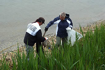 Barnegat Bay Blitz