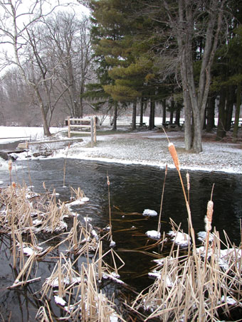 photo from Kittatinny Valley State Park