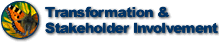 Transformation & Stakeholder Involvement