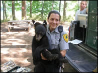 Officer Pfeil assists with the bear cub