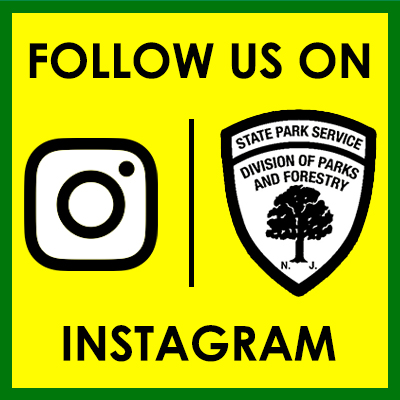 Follow us on Instagram