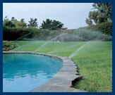 photo-sprinklers
