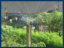 photo-rain barrels