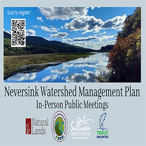 Neverink Watershed Management Plan Info Flyer.