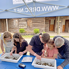 Kids and adults alike love to check out the trays of macroinvertebrates to see what lives in the river. Photo by the DRBC.