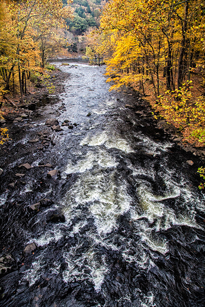 Rapids on the Mongaup in the Fall by Andy Smith.