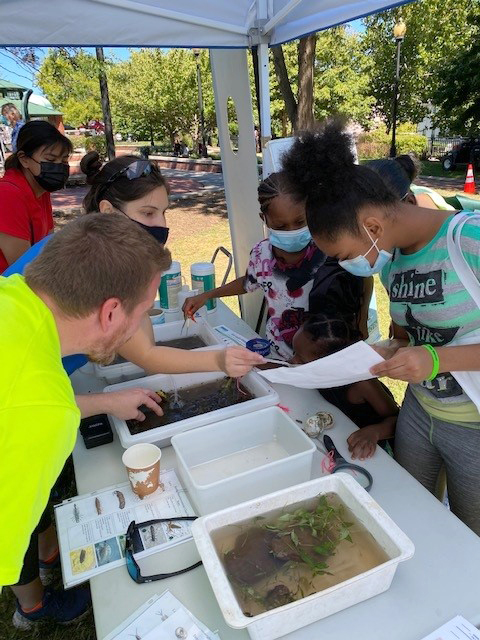 The bugs were a hit with attendees, who were eager to check out what we found in the river and learn about what they tell us about water quality. Photo by DRBC.