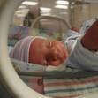iv feeding tubes with phthalates can be harmful to preemies
