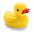 yellow ducky