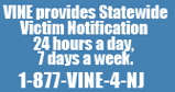 VINE 