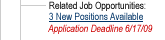 Related Job Opportunities