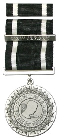 The New Jersey POW-MIA Service Medal