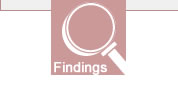 Director's Findings