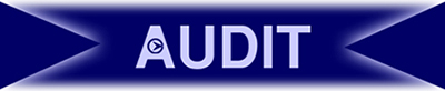 audit graphic