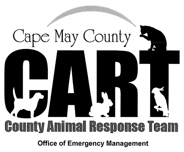 Cape May CART Logo graphic