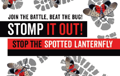 Join the Battle, Beat the Bug! Stomp It Out! Stop the Spotted Lanternfly