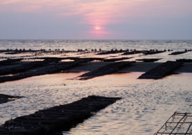 Photo of aquaculture - Click to enlarge
