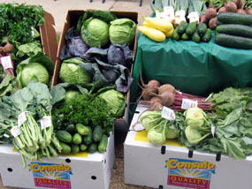 Photo of Consalo produce at Food Bank of South Jersey