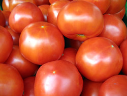 Photo of Jersey Fresh Tomatoes