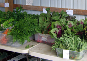 Photo of organic produce - Click to enlarge